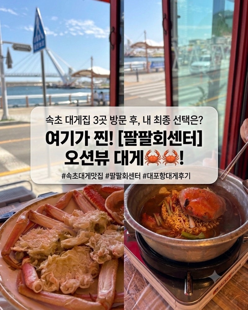 속초 대게맛집 팔팔회센터 | 속초 대게집 3곳 방문한 사람이 추천 오션뷰 대포항 대게 후기