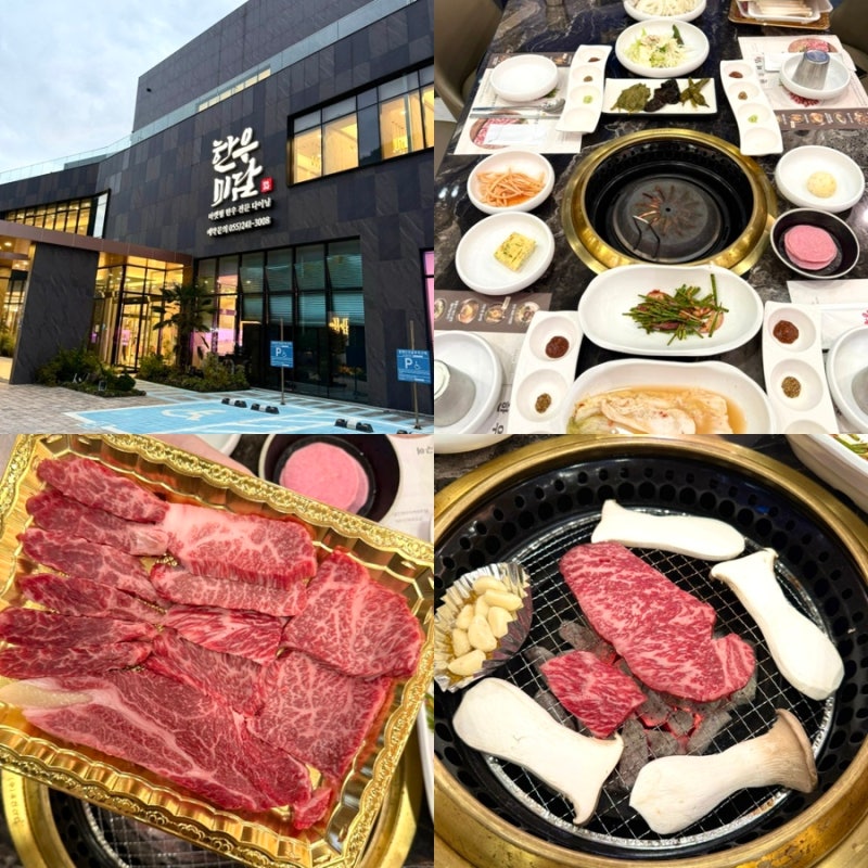 “한우미담 창원본점” 마산 한우 맛집 추천｜1++ 한우 가족모임 방문후기