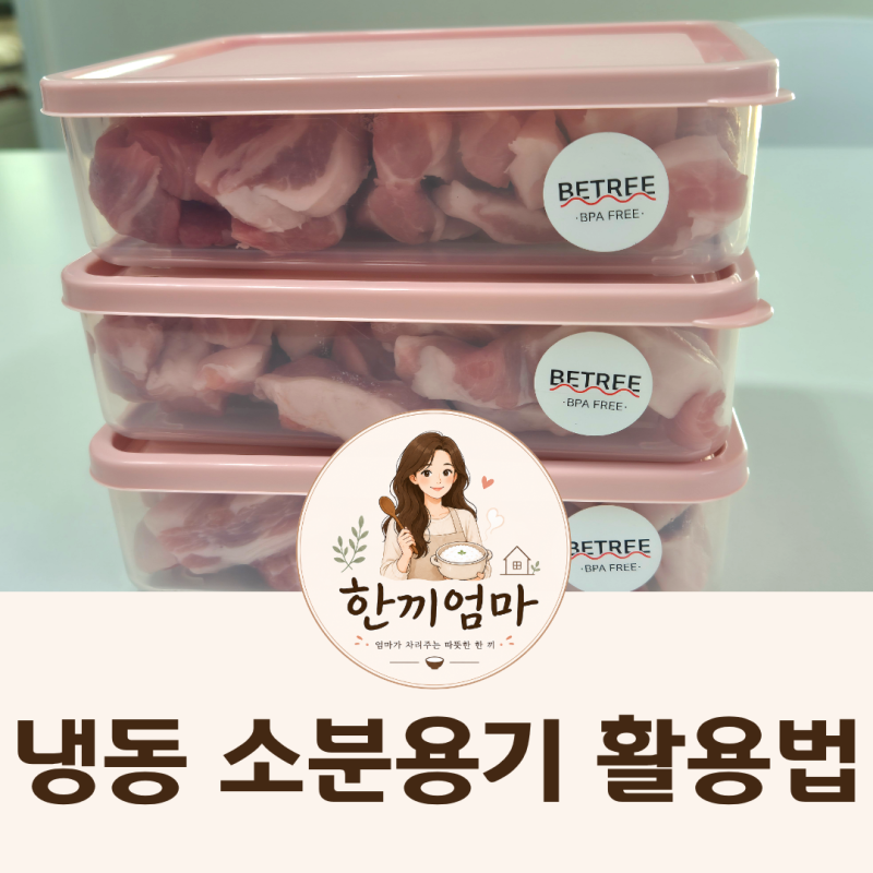 냉동실 소분용기 활용법 워킹맘 냉동실 정리