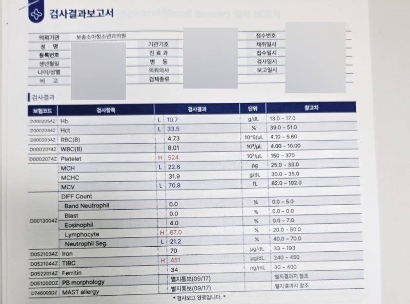 6개월 아기 빈혈 확정. 철분검사 및 알러지검사 결과/아기 철분제 훼럼키드액 가격