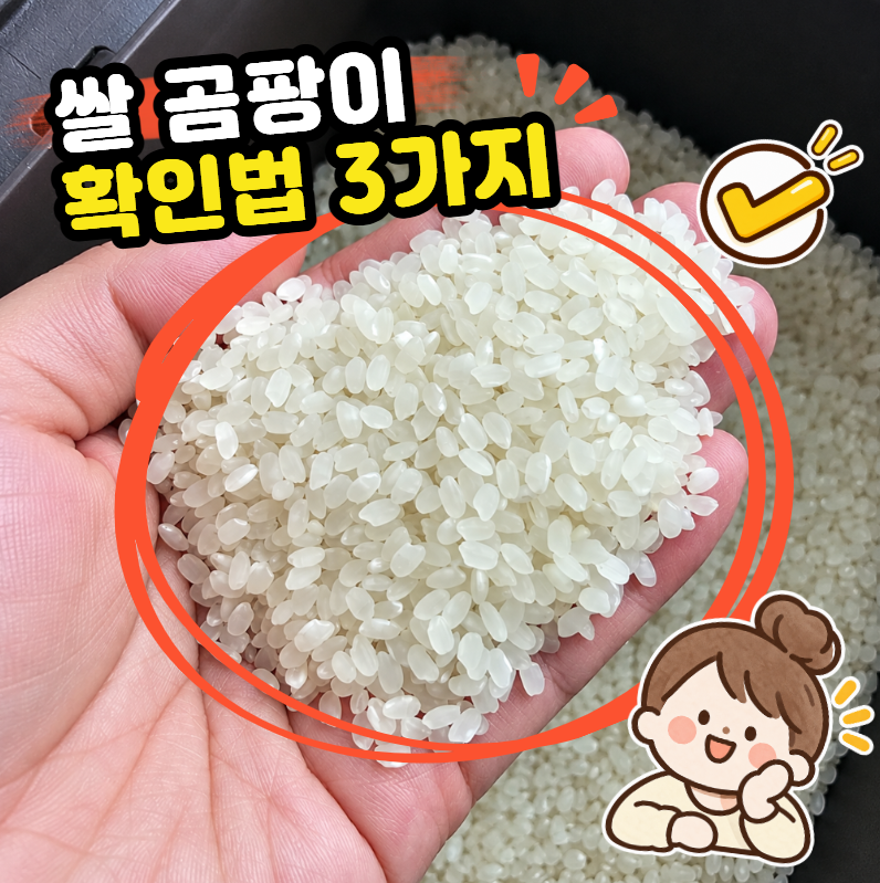 "신혼 초 쌀 한 통 다 버렸어요ㅠㅠ" 그때 알았으면 좋았을 쌀곰팡이 구분법 3가지