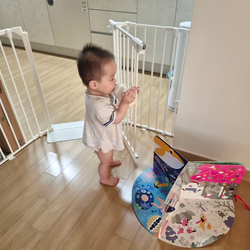 돌아기 생우유 하루 몇 ml 먹을까? 13개월 분유 끊고 우유로 넘어간 실제 방법