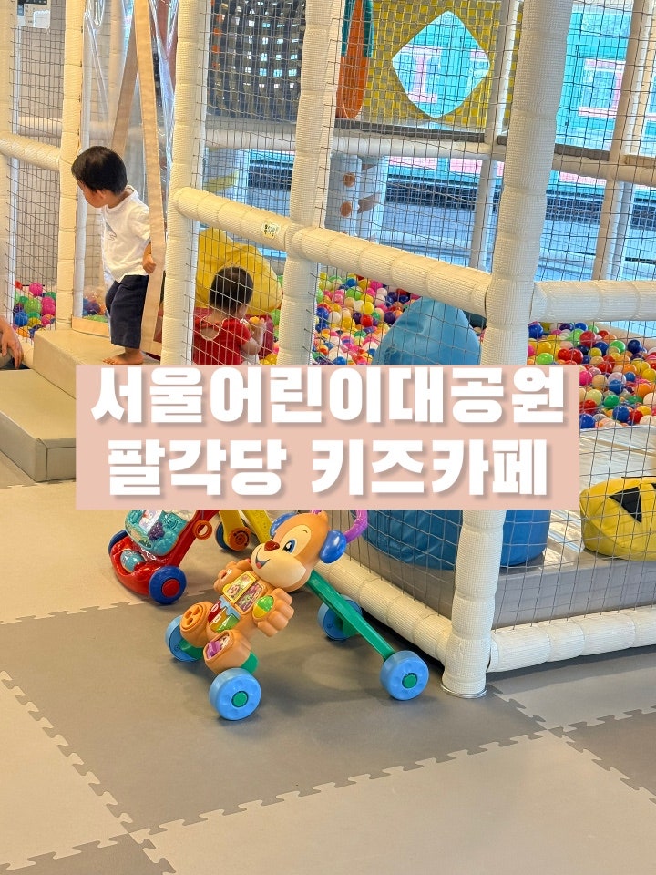 서울어린이대공원 팔각당 실내 놀이터 (키즈카페) 다녀온 후기
