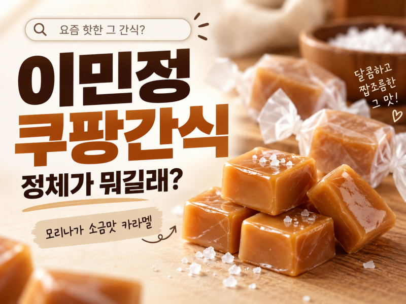 이민정 쿠팡간식 뭐길래? 모리나가 소금맛 카라멜 가격·맛·구매처 정리