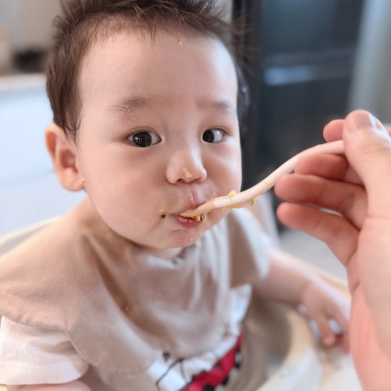 가성비 있게 준비하기, 다이소 초기 이유식 준비물 (용기 스푼 큐브 보관함)