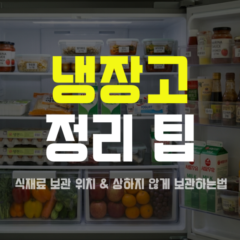 냉장고 정리 팁 | 칸별 식재료 보관 위치 & 상하지 않게 보관하는법