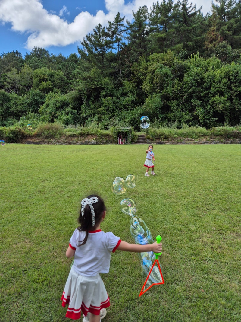 咸安ピカグリーン森の遊び場｜子供と行ける場所、7回行ったレビュー