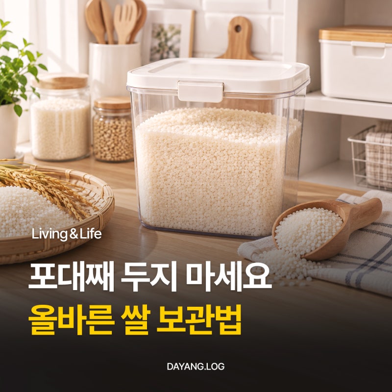 쌀 벌레 안 생기는 보관법 올바른 밀폐용기 냉장고 보관 꿀팁
