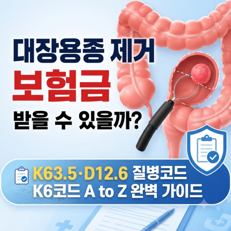 대장용종 질병코드 총정리｜K63.5·D12.5·D12.6 질병수술비 받을 수 있을까?