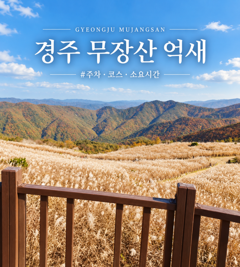 경주 무장산 억새｜주차·등산코스·소요시간 총정리