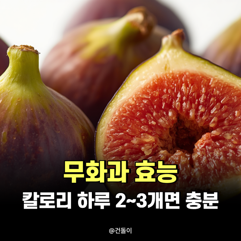 무화과 효능 칼로리 하루 2~3개면 충분!