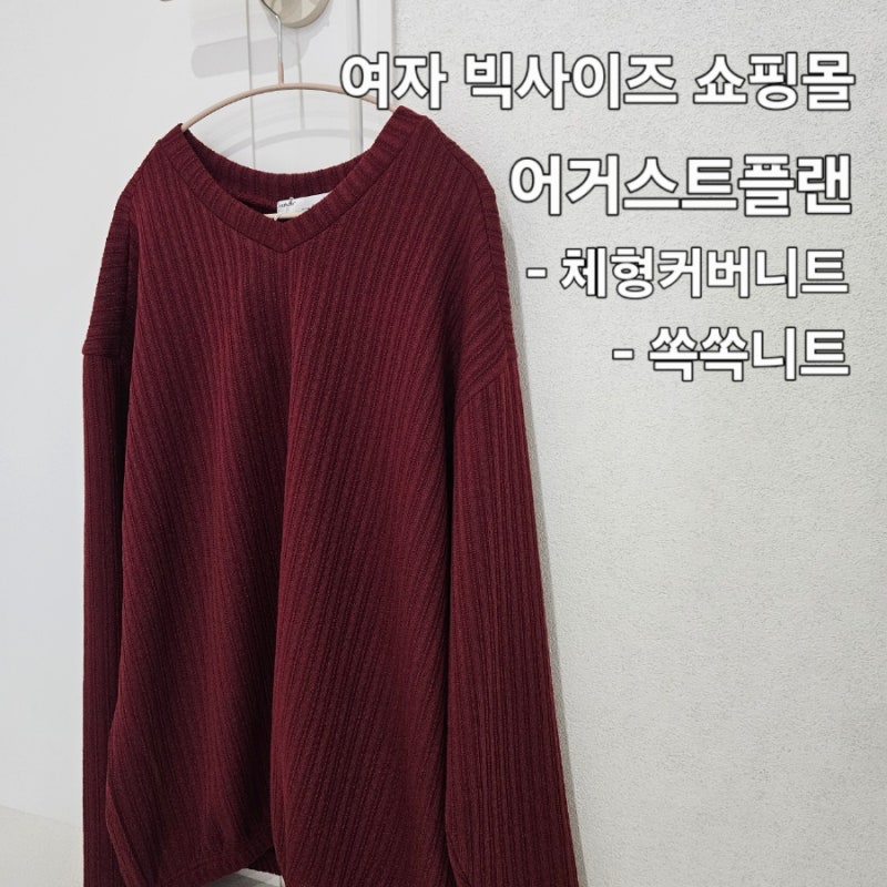 [리뷰] 어거스트플랜 체형커버 브이넥 쏙쏙니트 : 편안하고 예쁜 핏! 여자 빅사이즈 쇼핑몰 ....