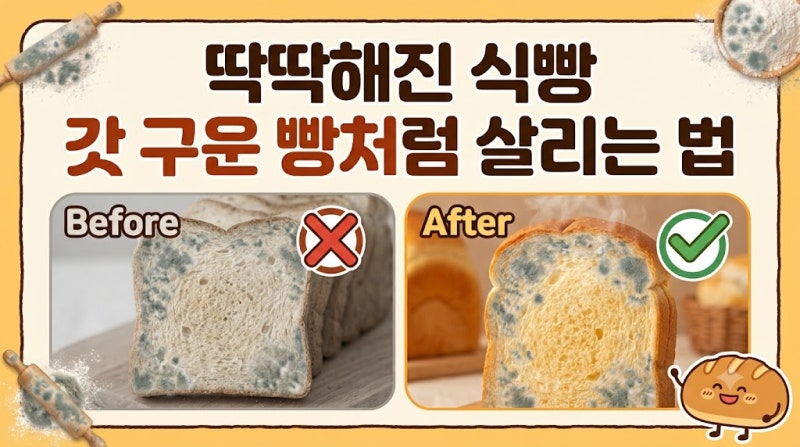 딱딱해진 식빵 갓 구운 빵처럼 촉촉하게 되살리는 방법