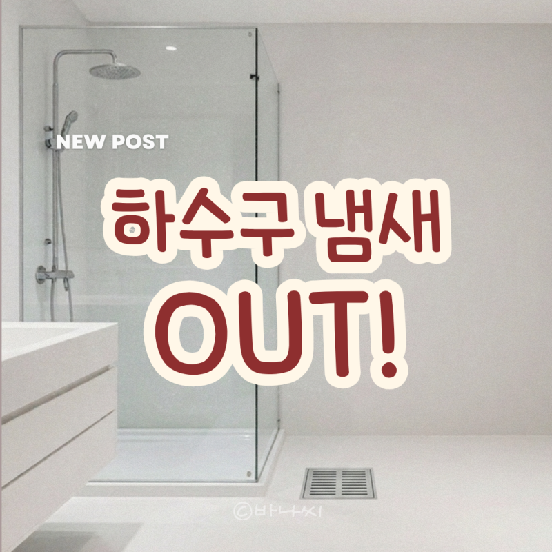 화장실 하수구 냄새, 다이소 꿀템으로 없애는 법