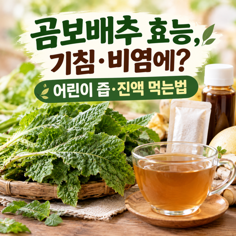 곰보배추 효능과 부작용, 기침·비염에 좋을까? 어린이 즙·진액 먹는법
