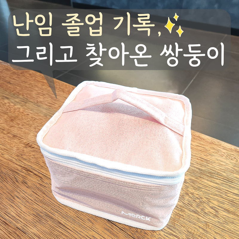 잠실차병원 난임 졸업, 39세 시험관 쌍둥이 임신 기록
