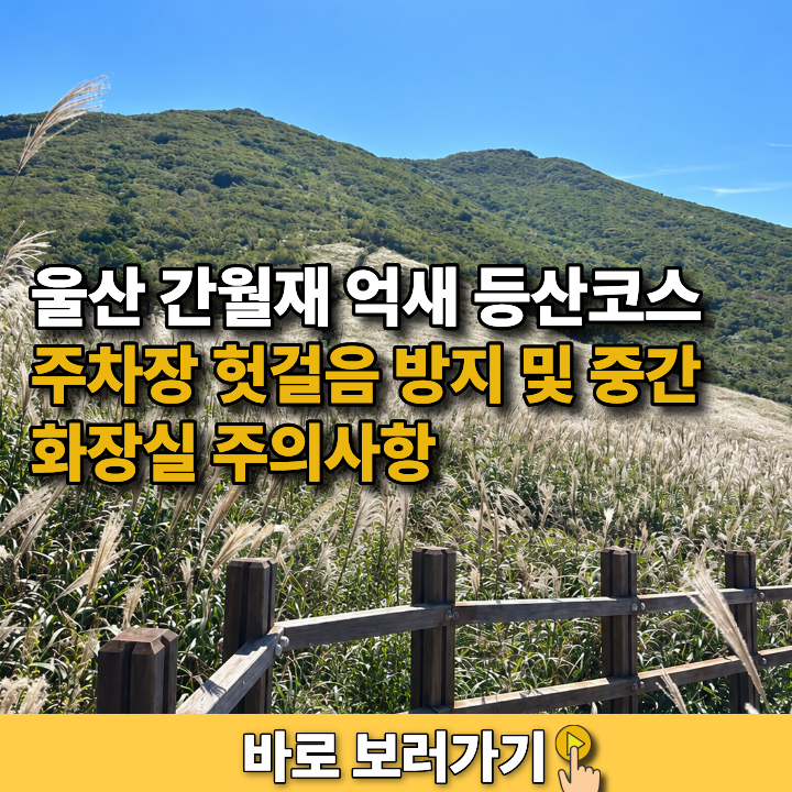 울산 간월재 억새 등산코스 주차장 헛걸음 방지 및 중간 화장실 주의사항
