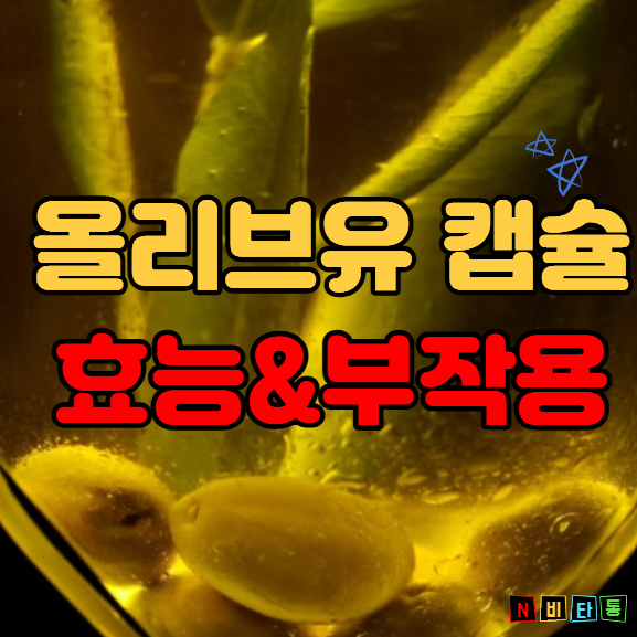 콜레스테롤에 좋은 올리브유 캡슐 추천 효능 부작용 고르는 법까지 총정리!