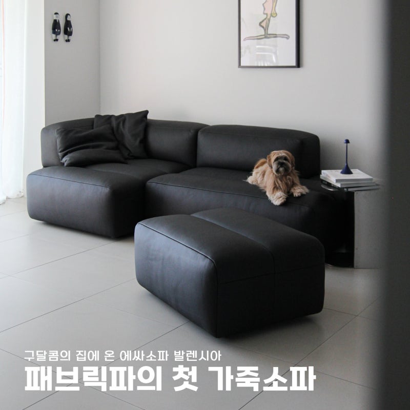 에싸소파 발렌시아 후기｜패브릭파의 첫 가죽소파, 3인 라운지형 누아블랙