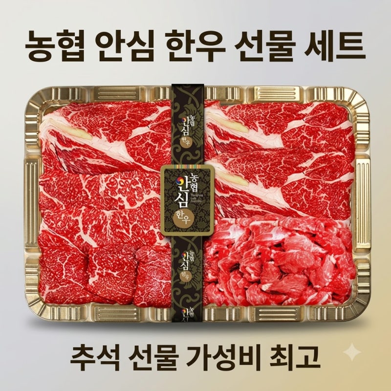 농협 안심 한우 선물 세트 1등급 추석 선물 가성비 최고