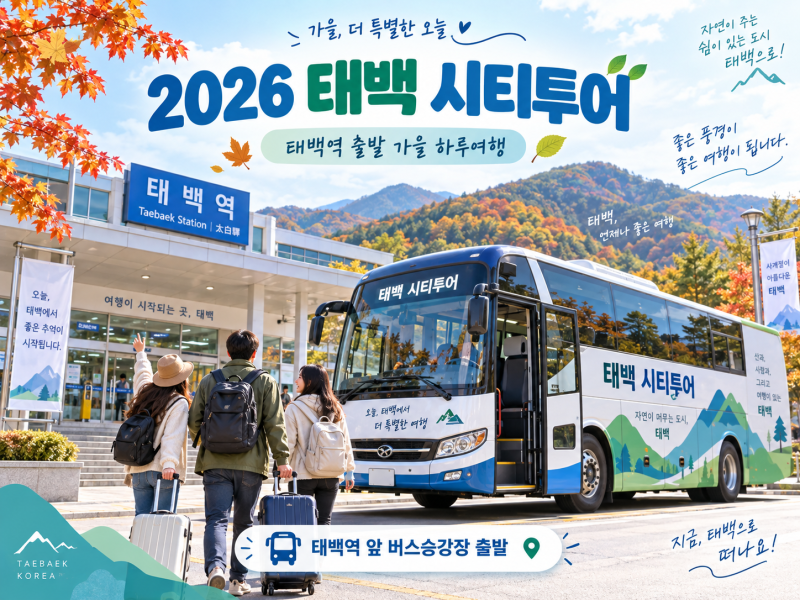 2026 태백 시티투어 예약방법｜10월 50% 할인, 태백역 출발로 전통시장·대표 관광지 여행