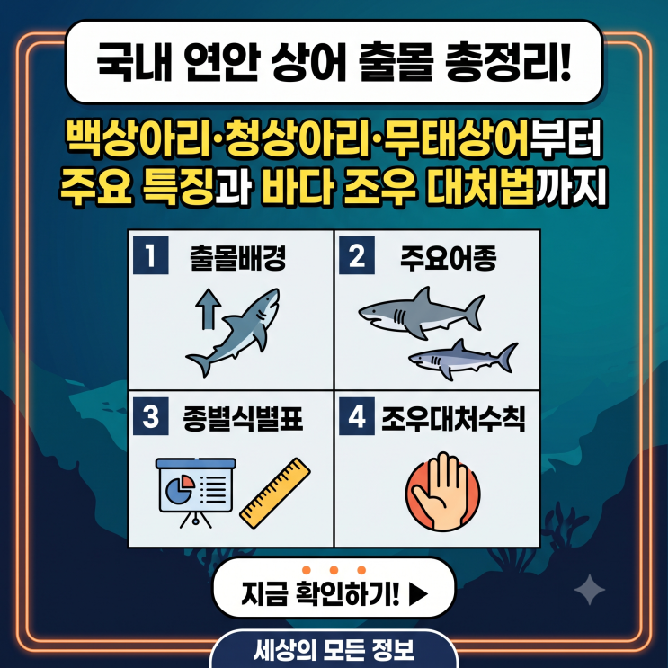 우리나라 연안에 나타나는 상어 종류와 특징 완벽 정리: 백상아리부....