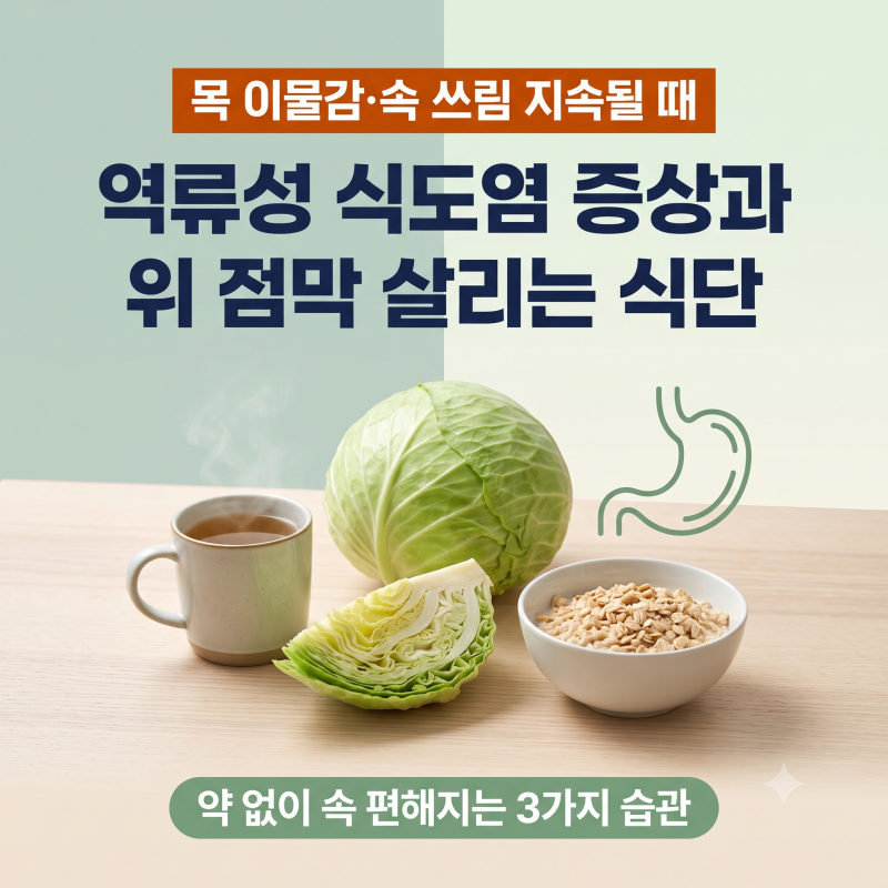 역류성 식도염 증상 5가지와 위 점막 회복에 좋은 음식 총정리