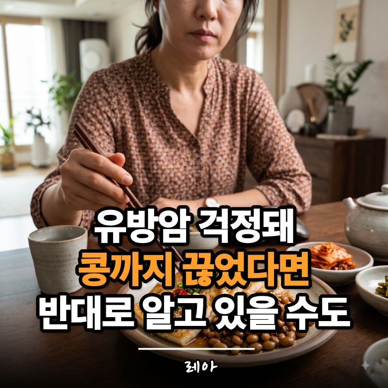 유방암 걱정돼 콩, 두부를 끊었다면? '여성호르몬 때문에 위험하다'는 말, 사실일까요?