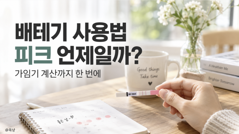 배테기 사용법 피크 언제일까? 가임기 계산까지