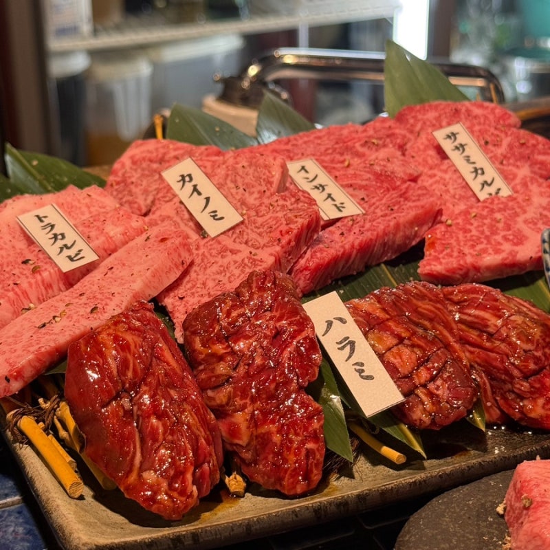 오사카 난바 야끼니꾸 맛집 마츠다부장 추천 토라니츠노