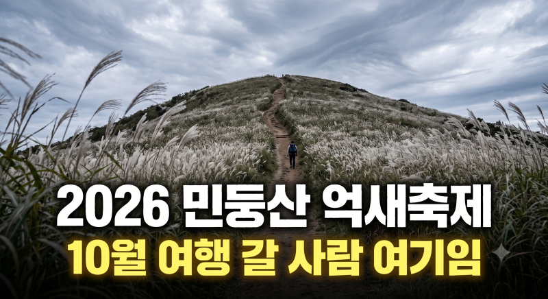 2026 정선 민둥산 억새축제 총정리｜10월 가볼만한곳 등산코스·주차장·억새 명소