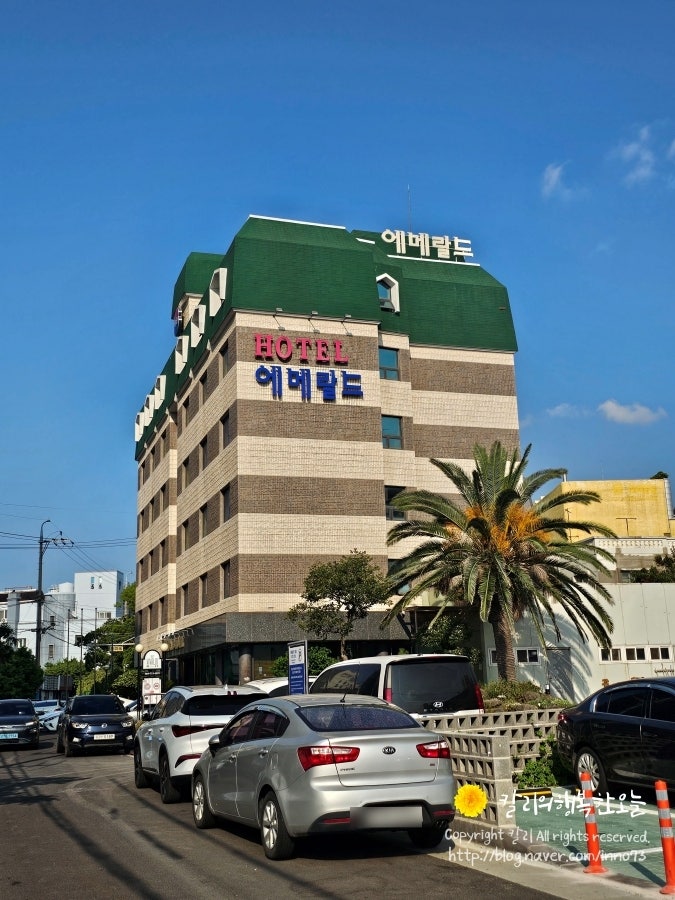 高CP值濟州機場附近單人住宿：翡翠酒店，女性獨自濟州島國內旅行首選