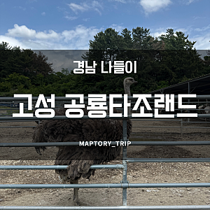 경남 아이랑 가볼만한곳 색다른 이색동물 카페 공룡타조랜드 체험후기
