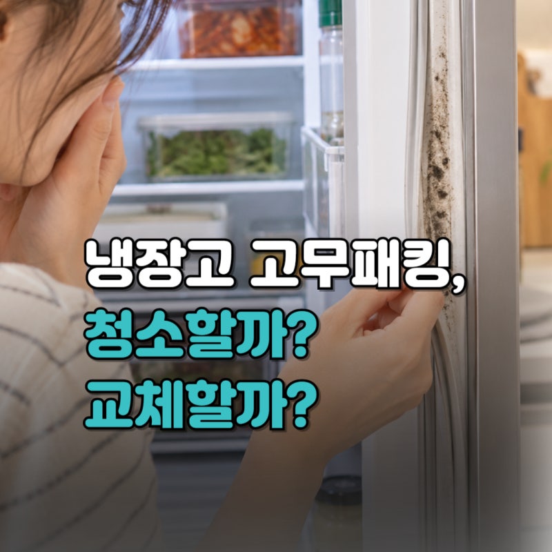 냉장고 고무패킹 청소·교체, 언제 해야 할까? 곰팡이 제거와 냉기 확인 방법