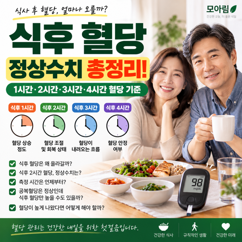 식후 혈당 정상수치 총정리! 1시간·2시간·3시간·4시간 혈당 기준