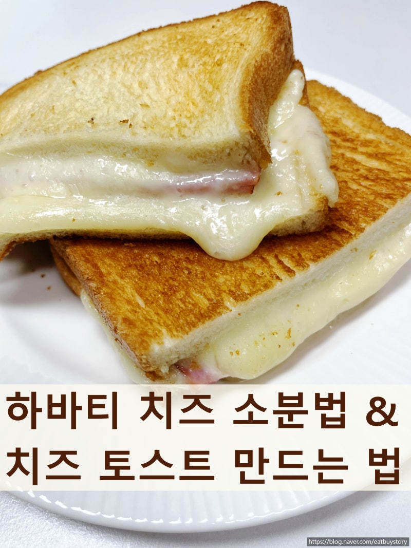 코스트코 알라 하바티 치즈 소분해서 보관하기, 치즈토스트 만들기