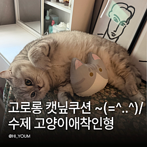 고로롱 캣닢쿠션 분리세탁 가능한 수제 고양이애착인형