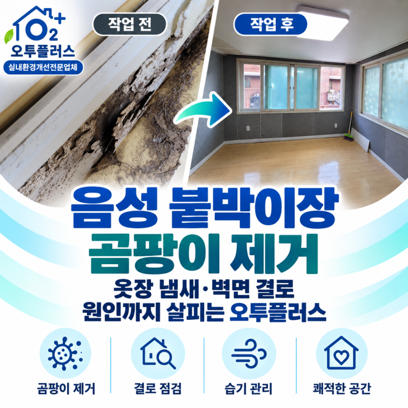 음성 붙박이장 곰팡이 제거｜옷장 냄새·벽면 결로 원인까지 살피는 오투플러스
