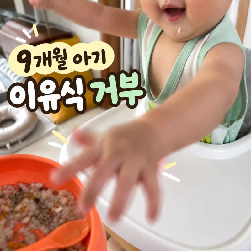 9개월 아기 이유식 거부｜잘 먹던 아기가 갑자기 안 먹어요, 자기주도 이유식 시작 고민