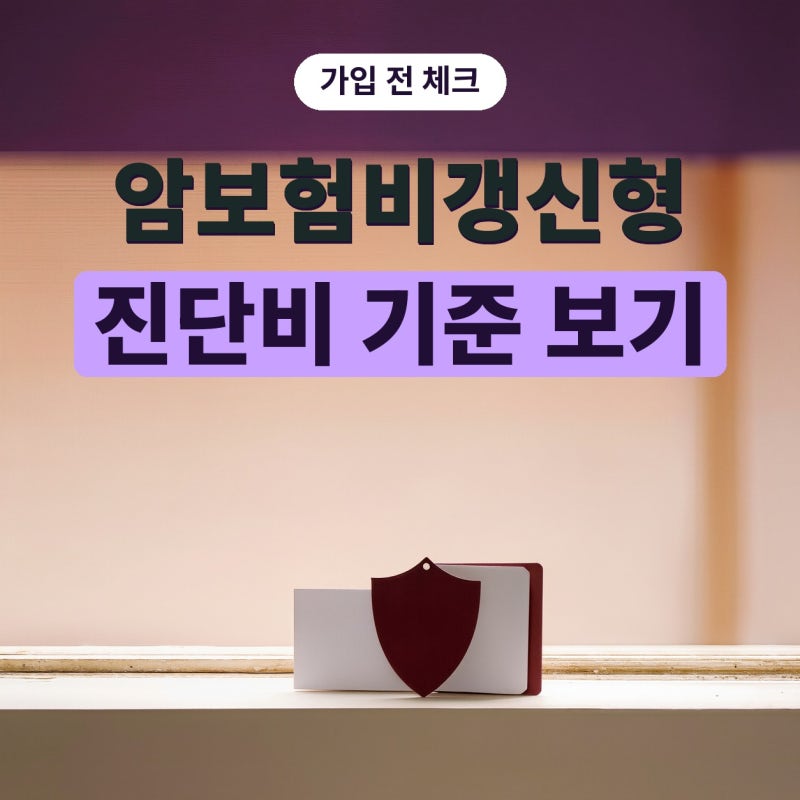 암보험비갱신형 가입 전 암진단비와 암보험금 기준, 이것부터 봐야 했어요 (플랜비보험)