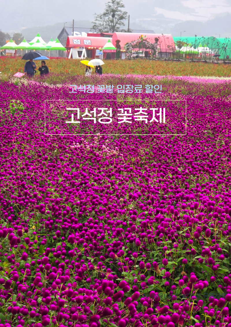 철원 고석정 꽃축제 철원 고석정 꽃밭 입장료 할인 가볼만한곳