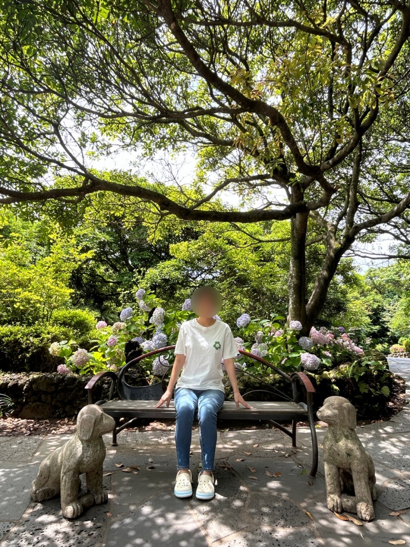 Jeju Camellia Hill: Admission Fee, Parking Information, and Pet-Friendly Review
