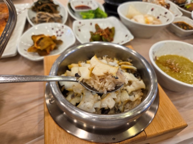 속초 마리나베이 근처 맛집 속초아이대관람차 주변 한식집 속초 가족외식 추천 정갈한 전복....