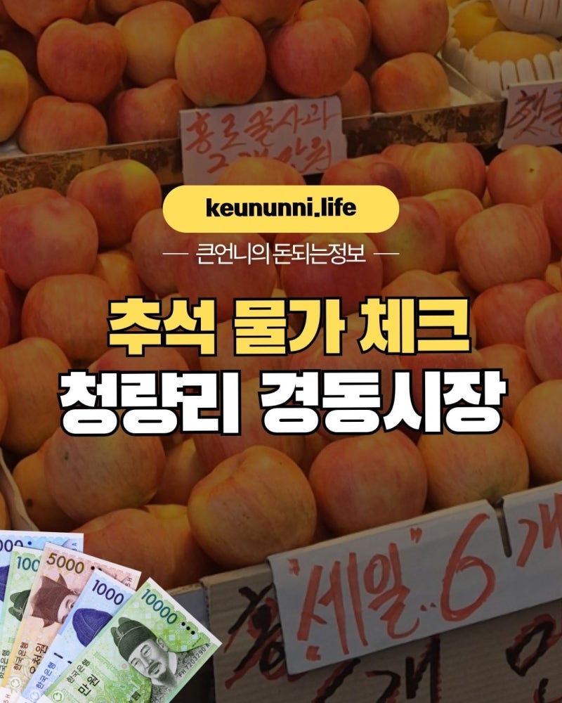 경동시장 추석 장보기 가격｜과일·나물·송편 직접 확인해보니
