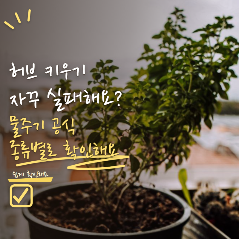 허브 키우기 자꾸 실패한다면? 로즈마리·바질·민트마다 다른 물주기 방법