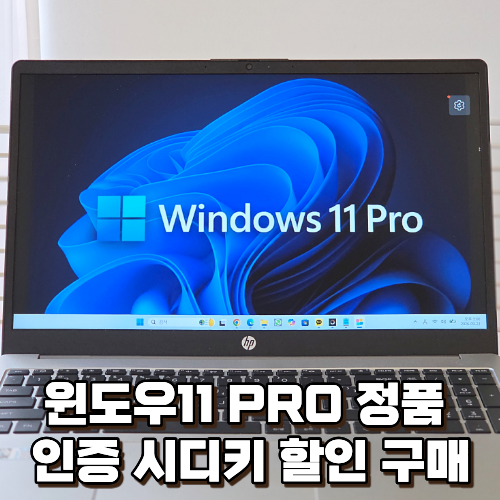 윈도우11 Pro 업데이트 이유와 방법, 3만원대 정품 인증 OEM 시디키