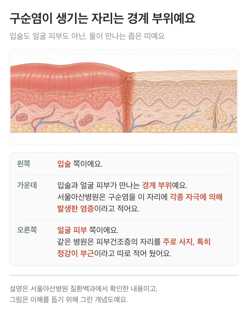 입 주변 각질, 보습해도 자꾸 트면 구순염일까?
