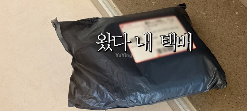 앵콜스 내돈내산 택배 하울 앵콜스 아르고 캐시미어 실 + 치아오구 대바늘 세트 언박싱 | 랜....