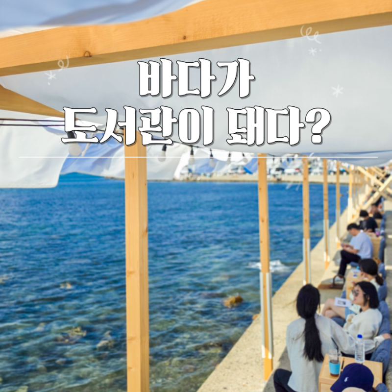 Ulsan Attractions: Seuldo Outdoor Library - "The Sea Became a Library?" A Weekend Picnic Outing