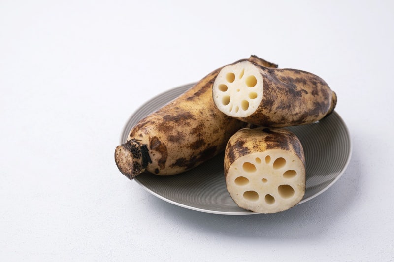 연근 효능 부작용없이 건강하고 맛나게 먹는법